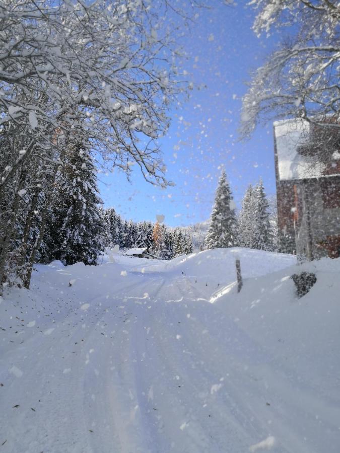 B&B da mamma Lo Tolmezzo Exteriör bild